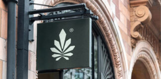 Psychoaktive Cannabinoide in Deutschland
