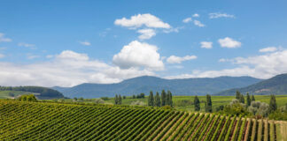 Zwischen Wald und Weitblick – warum Pfalzen genau dein Ruheort sein könnte Pfalzen
