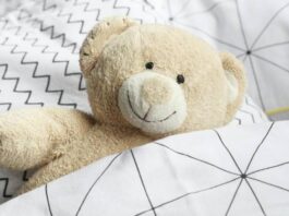 hochwertige Kinderbetten - Teddy liegt im Bett