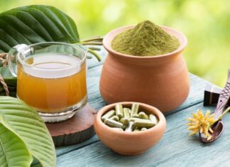 Kratom im Trend – was steckt hinter dem unbekannten Baum?