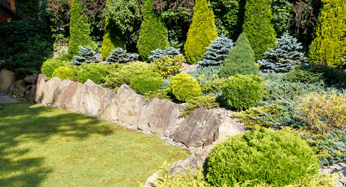 Immergrüner Garten mit verschiedenen Pflanzen.