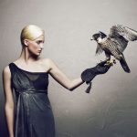 ajoure-blogstoeckchen