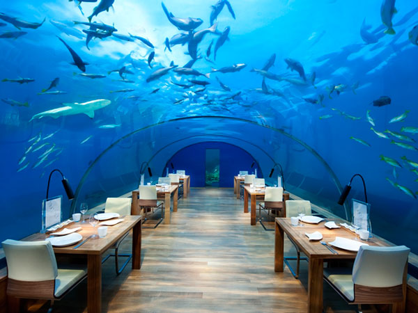 Ithaa Undersea Restaurant