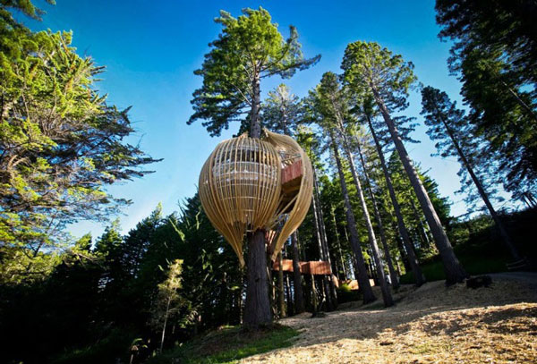 Redwoods Treehouse