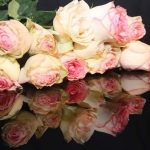 rosen